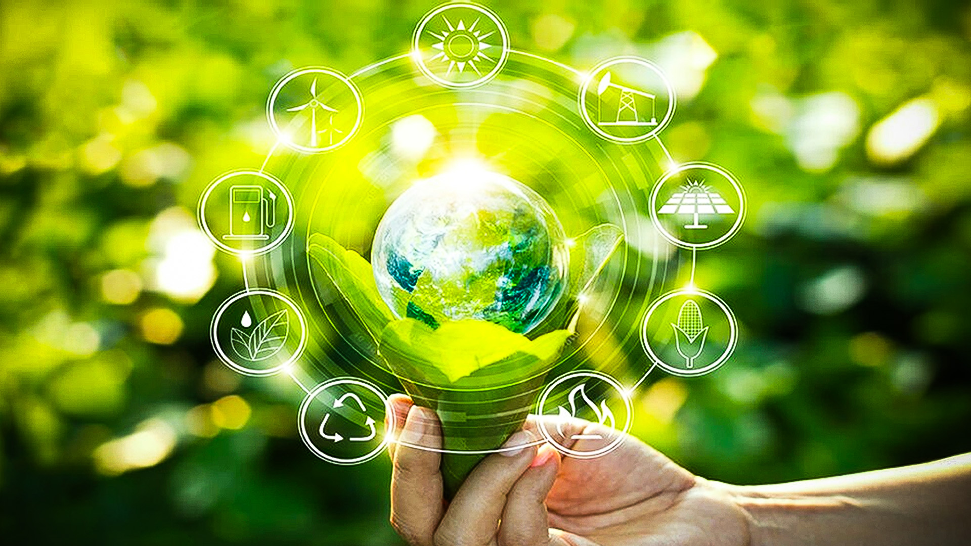 Challenges and Opportunities in Creating a Sustainable Metaverse